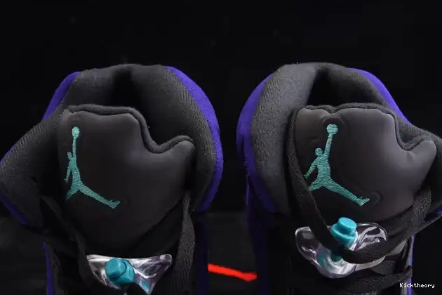 Kicktheory Jordan Grape Retro Alternate Air 136027-500 5 0531
